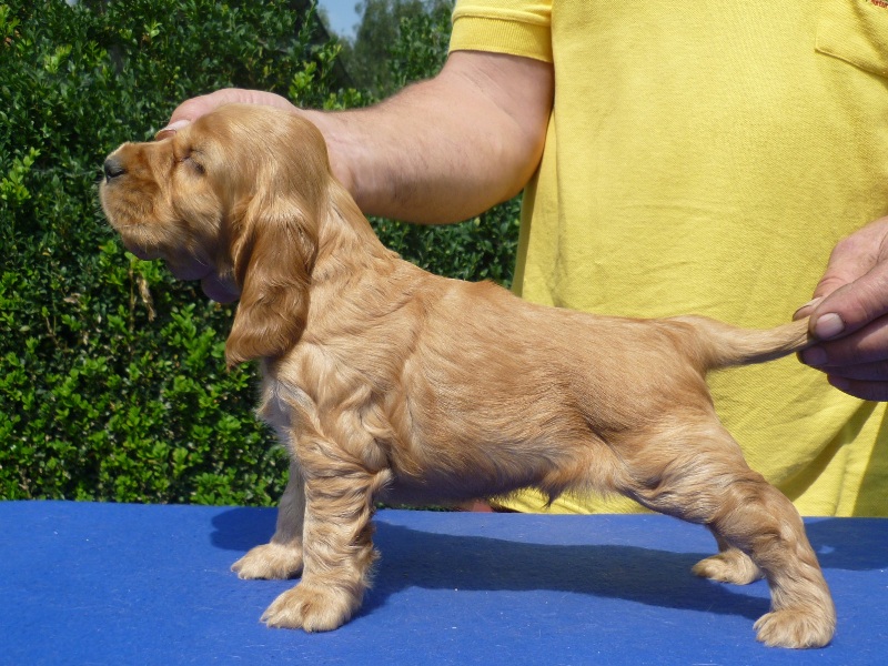 19. Grey pod Ořechem-fialová.JPG